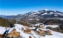 Bartler_Hof_Schwaigerberg_4_Westendorf_Haus_aussen