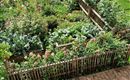 Bauerngarten