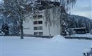 A snow-covered lot with a building. Surrounded by tall, green trees and a peaceful winter landscape.