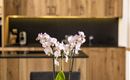 An elegant table with a blooming orchid in a pot. In the background, there is a modern kitchen with wooden cabinets and bright lighting.