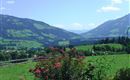 BILD0548