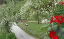 Biobauernhof Hecherhof Thiersee Balkon