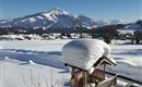 Blick auf´s Kitzbühler Horn