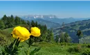 Blick Richtung Kaisergebirge