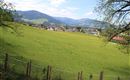 Blick Sommer