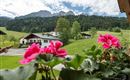 Blick vom Balkon auf den Zahmen Kaiser