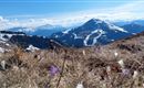 Blick vom Brandstadl auf die Hohe Salve