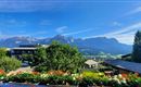 A beautiful view of the mountains with a clear blue sky. In the foreground, colorful flowers and lush green thrive.