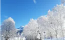 Blick zum Kitzbüheler Horn