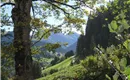 Blick zum kleinen Rettenstein