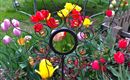 Blumen