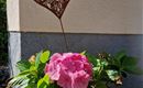 Blumendeko