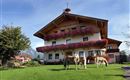 A charming country house with colorful flower balconies and green lawn. Two horses graze peacefully in front of the building.
