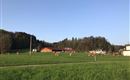 Bruggerhof Niederndorf - Wiese und Stall