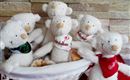 Dein Urlaubsbegleiter ab 7 Tage