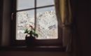 A view from a window of snow-covered mountains. In the foreground, there is a small plant on the windowsill.