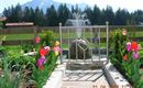 DSCN0686