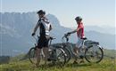 e-biker-auf-der-alm-im-brixental