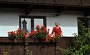 Ehrensberger-Sommer-Header