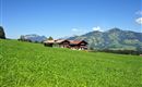 Entalhof-Sommer-Header