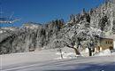 Ferienhaus im Schnee