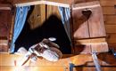 Ferienhütte Puutz_Wörgl_Dissertori_Detail