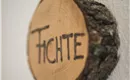 fichte