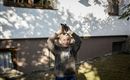 Flecklhof_daniel mit hase