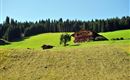 Flecklhof-Sommer-Header