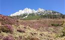 Frühling am Wilden Kaiser