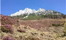 Frühling am Wilden Kaiser