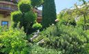 Garten-2