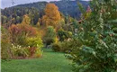 garten im Herbst