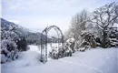 Garten im Winter