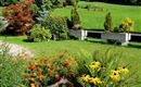 Gartenimpression