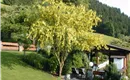 Gartenterrasse