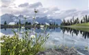 Going_Astbergsee_Sommer_2013_Peter_Felbert (5)