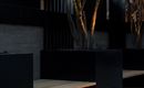 GoingTripleA_Aussen_0620-35
