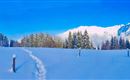 [Group 6]-03104242_03104259-18 images_0002
