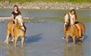 Two girls are riding horses in the shallow water. In the background, a green landscape can be seen.