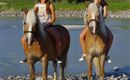 Two girls are riding horses by the riverbank. In the background, green trees and houses are visible.