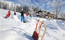 Eine verschneite Winterlandschaft mit mehreren Menschen, die Schnee schaufeln. Im Vordergrund steht ein Schlitten, während im Hintergrund ein Haus und schneebedeckte Bäume sichtbar sind.
