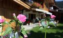 Haus Fuchs Sommer Header