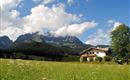 A peaceful countryside landscape with mountains in the background. The sky is blue with some clouds and the meadow is green and blooming.