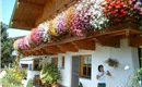 haus sommer