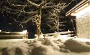 Eine verschneite Landschaft bei Nacht mit einem beleuchteten Baum. Im Hintergrund ist ein Gebäude zu sehen.