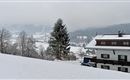 Een met sneeuw bedekt landschap met een gezellig huis en een hoge boom. Op de achtergrond zijn zachte heuvels en een bewolkte lucht zichtbaar.