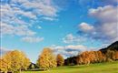 Herbst