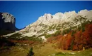 Herbst Wilder Kaiser