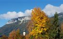 An autumn landscape with colorful trees and a clear blue sky. In the background, a mountain is visible.